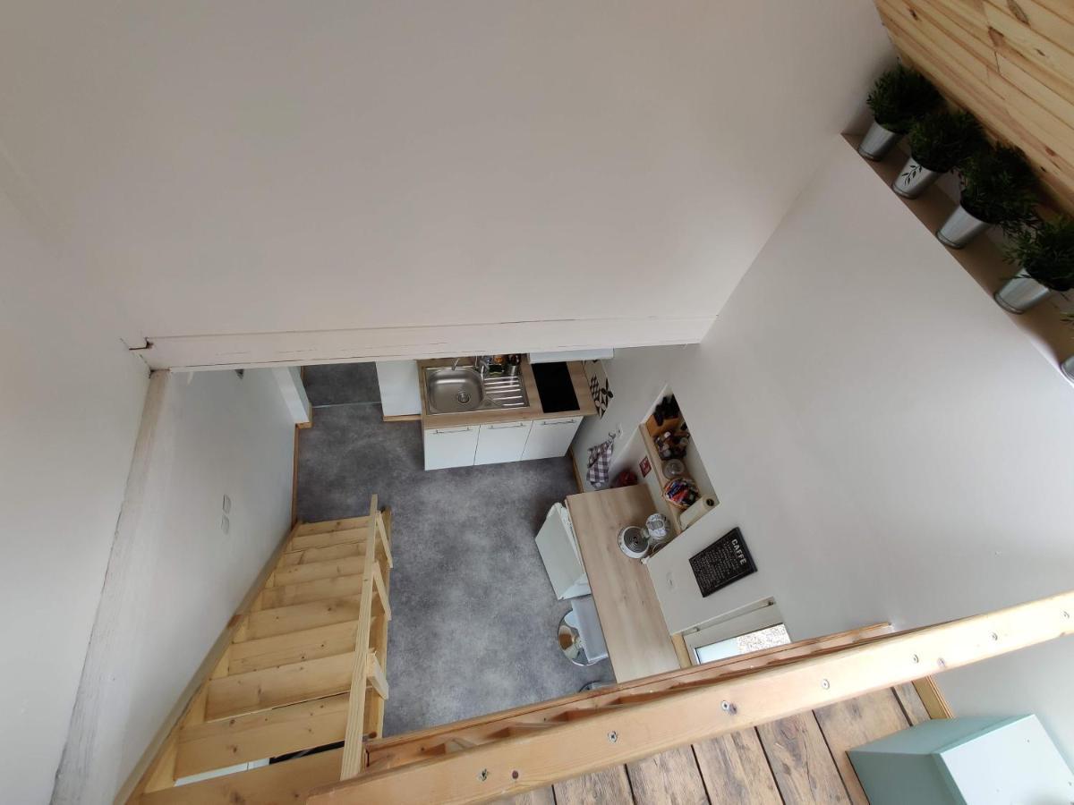 Studio Mezzanine Chez Papou, Ville Et Foret สตราสบูร์ก ภายนอก รูปภาพ